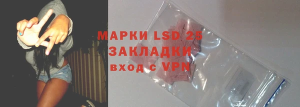 мяу мяу мука Аркадак